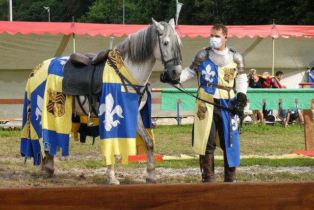 韦利安的个 韦利安的个