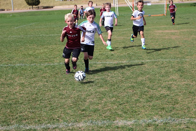 森林狼不惧 森林狼不惧