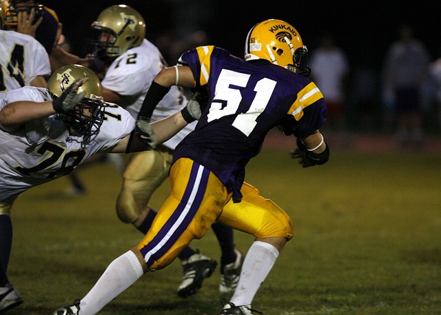 石破茂作为 石破茂作为