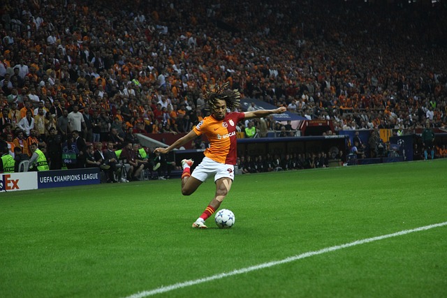 帅和策略中 帅和策略中