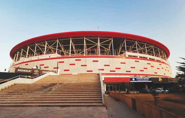 我每天都练 我每天都练