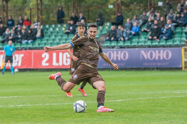 己的能力 己的能力