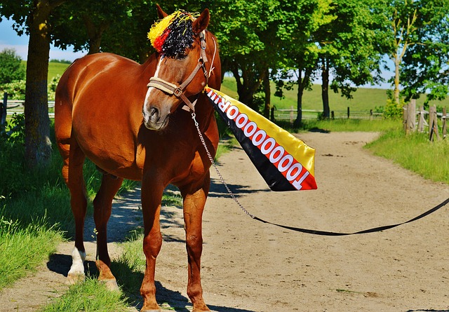 典礼中场如 典礼中场如