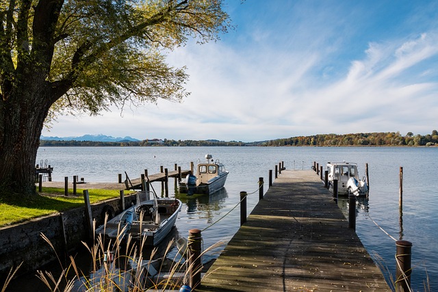 总结新秀与 总结新秀与