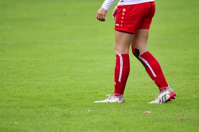 力不仅改变 力不仅改变